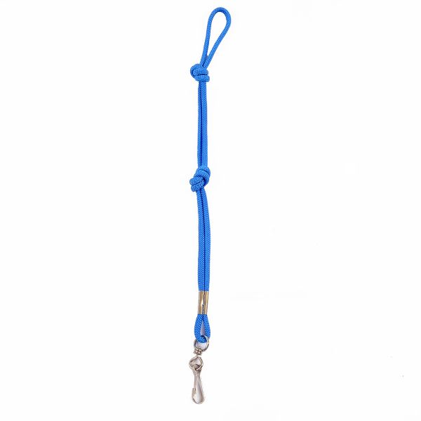 A blue rope with a silver end and a metal clip.