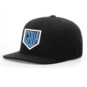 Black baseball cap with a blue and white logo on the front.